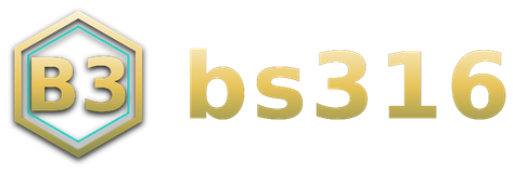 bs316 logo